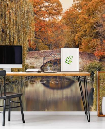 Canal through a forest Canal through a forest