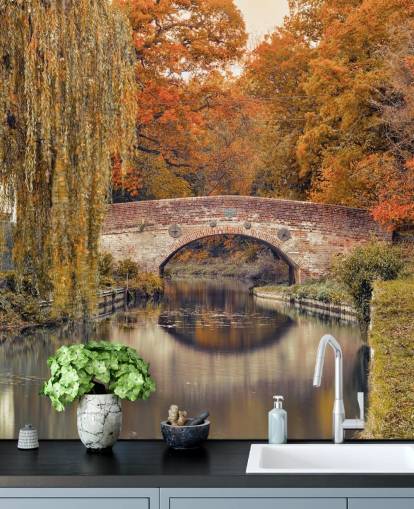 Canal à travers une forêt