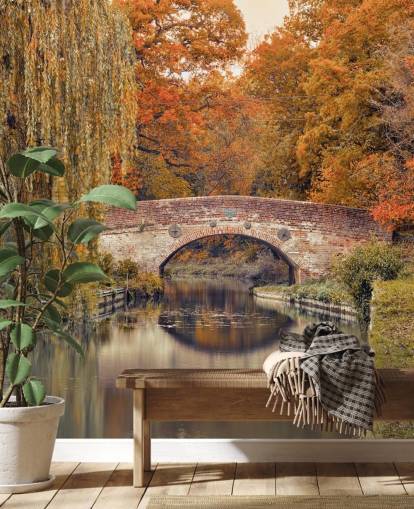 Canal through a forest