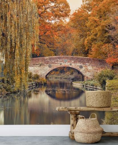 Canal through a forest