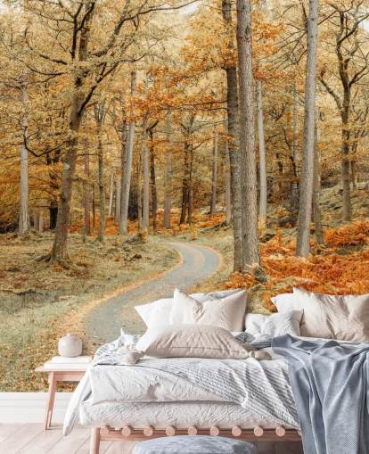 carta da parati autunnale con foresta e sentiero carta da parati autunnale con foresta e sentiero