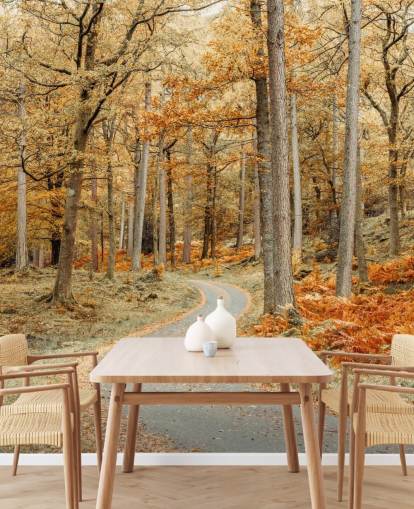 carta da parati autunnale con foresta e sentiero