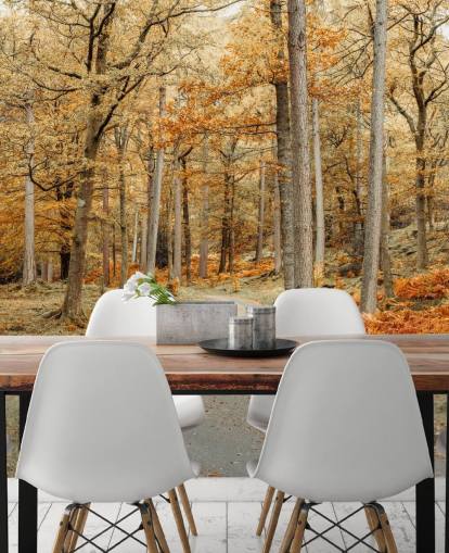 Herbstlicher Wald und Pfad Fototapete