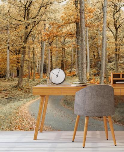 autumnal forest and path wallpaper mural