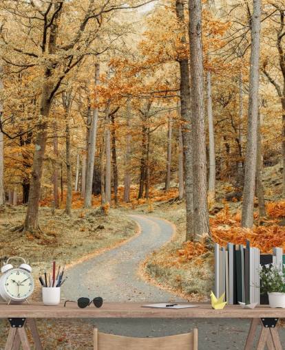 mural de papel de parede de floresta e caminho outonal