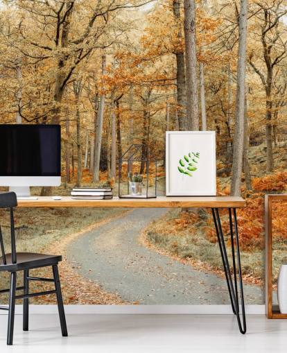 Herbstlicher Wald und Pfad Fototapete