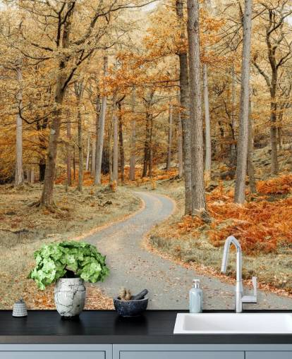 carta da parati autunnale con foresta e sentiero