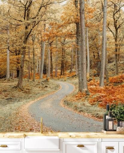 mural de papel de parede de floresta e caminho outonal