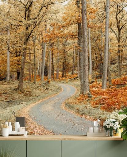 autumnal forest and path wallpaper mural