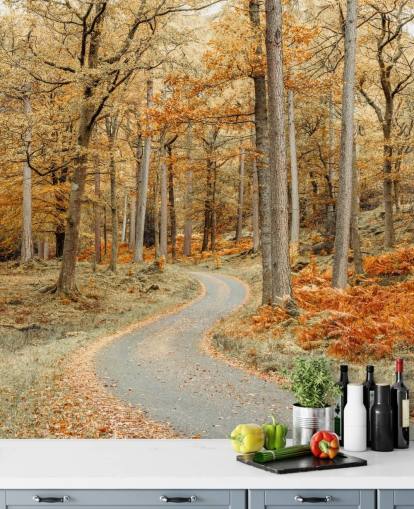 autumnal forest and path wallpaper mural autumnal forest and path wallpaper mural