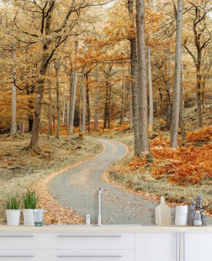 carta da parati autunnale con foresta e sentiero