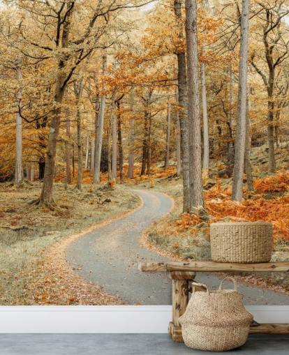 mural de papel de parede de floresta e caminho outonal mural de papel de parede de floresta e caminho outonal