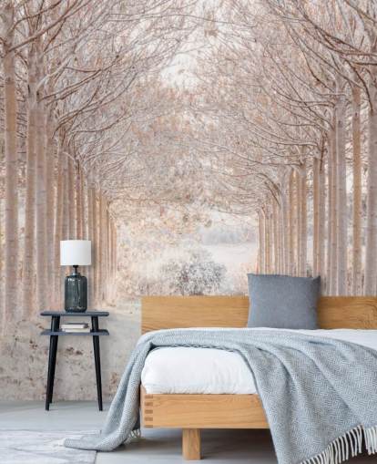 Snowy Trees in a Wonderland Snowy Trees in a Wonderland