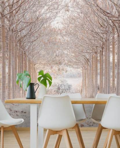 Snöiga träd i ett underland