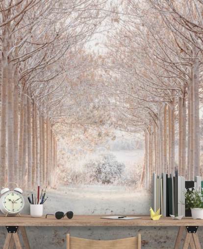 Snowy Trees in a Wonderland Snowy Trees in a Wonderland