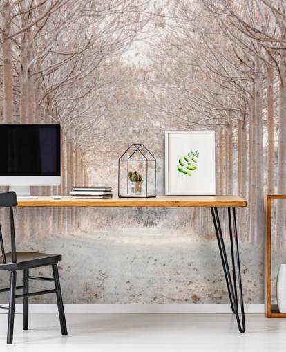 Snowy Trees in a Wonderland