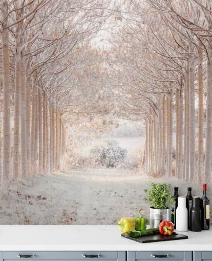 Alberi innevati in un paese delle meraviglie