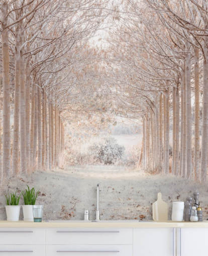 Alberi innevati in un paese delle meraviglie Alberi innevati in un paese delle meraviglie