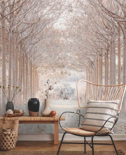 Alberi innevati in un paese delle meraviglie Alberi innevati in un paese delle meraviglie