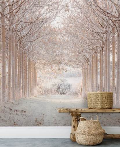 Alberi innevati in un paese delle meraviglie