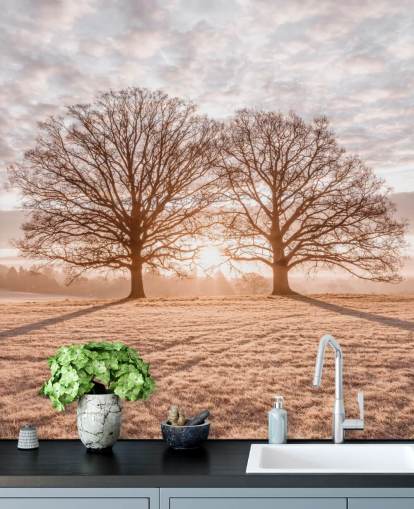Arbres dans un pré Arbres dans un pré