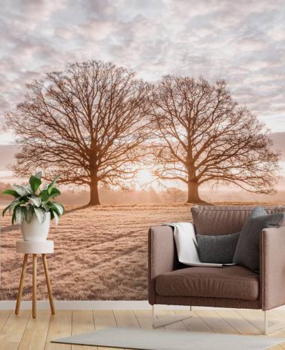 Bäume auf einer Wiese Bäume auf einer Wiese