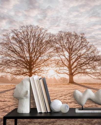 Árvores em um prado