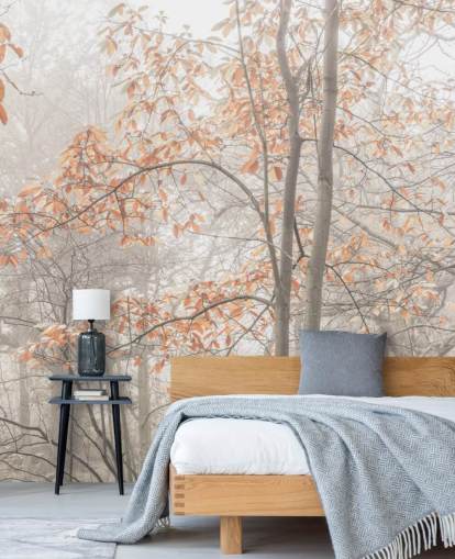 misty trees by canal