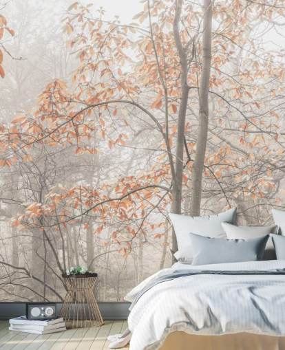 misty trees by canal