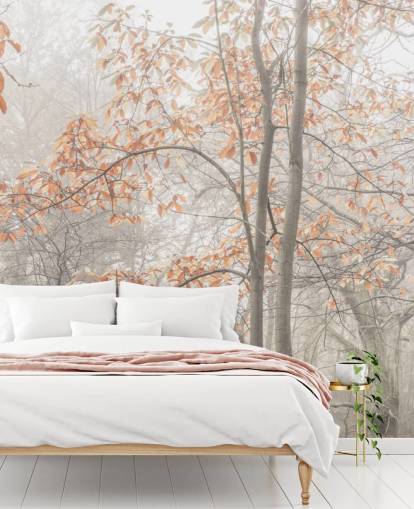 alberi nebbiosi dal canale