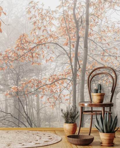 misty trees by canal