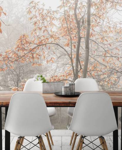 dimmiga träd vid kanal dimmiga träd vid kanal