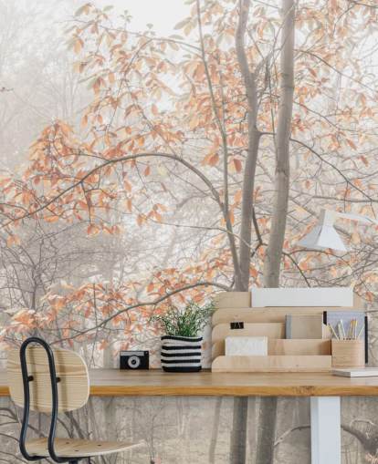 misty trees by canal