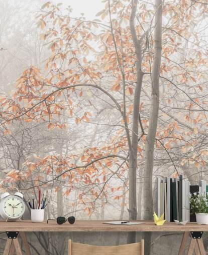 misty trees by canal