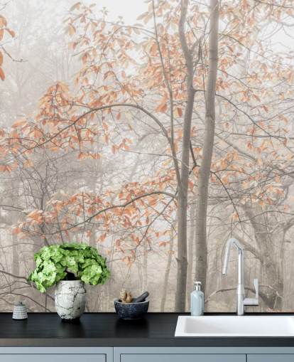 alberi nebbiosi dal canale