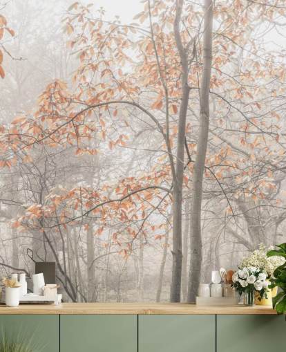 alberi nebbiosi dal canale alberi nebbiosi dal canale