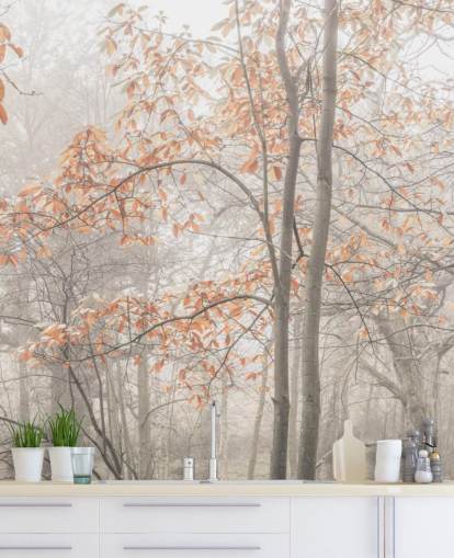 misty trees by canal misty trees by canal