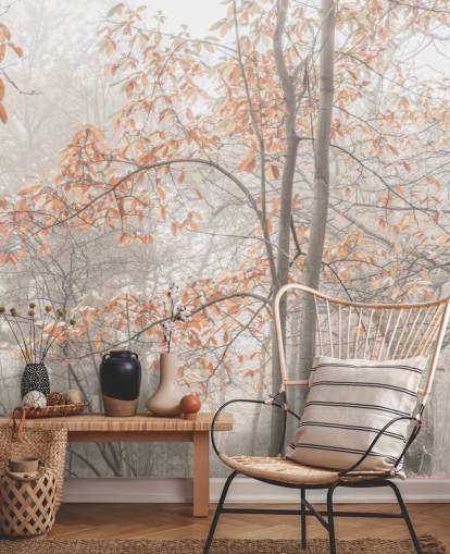 alberi nebbiosi dal canale