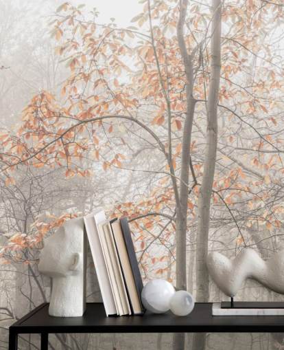 misty trees by canal