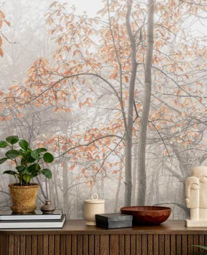 misty trees by canal