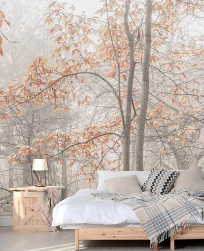 misty trees by canal