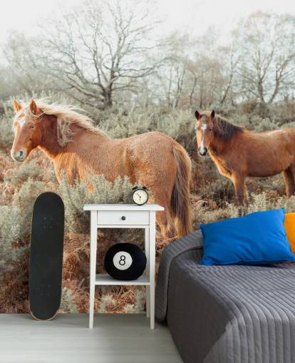 fondos de escritorio de jengibre en hábitat silvestre