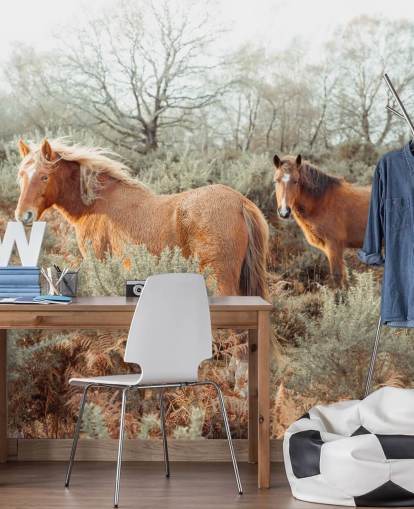 ginger horses in wild habitat wallpaper