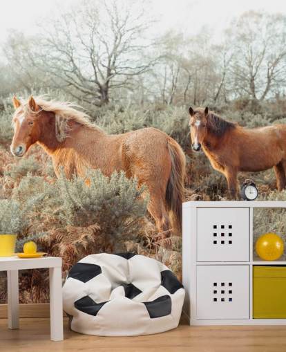 ginger horses in wild habitat wallpaper ginger horses in wild habitat wallpaper