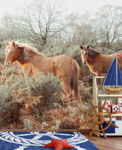 cavalos de gengibre em habitat selvagem papel de parede cavalos de gengibre em habitat selvagem papel de parede