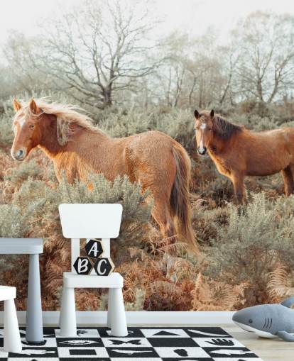 ginger horses in wild habitat wallpaper ginger horses in wild habitat wallpaper