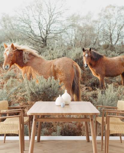 ginger horses in wild habitat wallpaper
