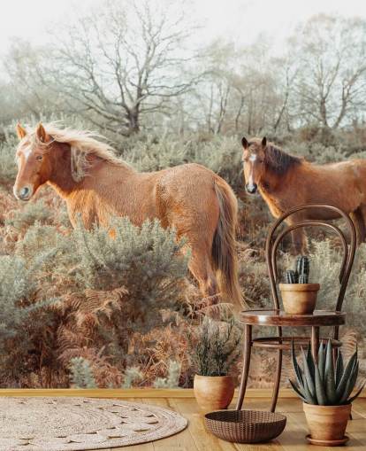 ginger horses in wild habitat wallpaper ginger horses in wild habitat wallpaper