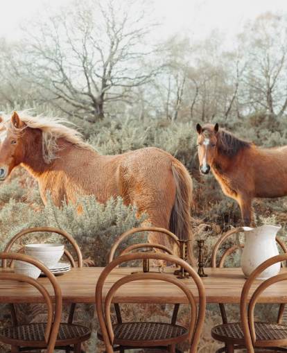 ginger horses in wild habitat wallpaper