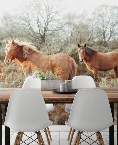 ginger horses in wild habitat wallpaper ginger horses in wild habitat wallpaper